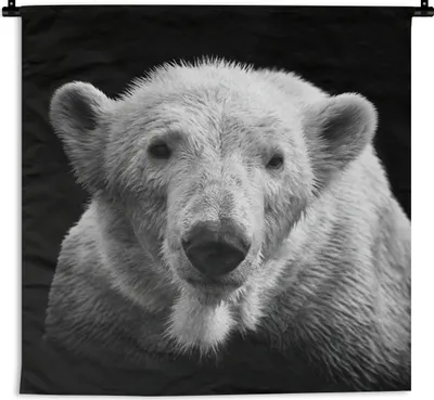 Produktbild von MuchoWow® Wandteppich Wandbehang Eisbär - Tier - Schwarz 150x150 cm Tapisserie Dekoration Wandtuch - Wohnaccessoires - Modernes