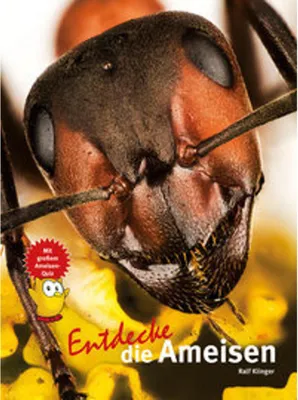 Obrázek produktu pro Entdecke die Ameisen