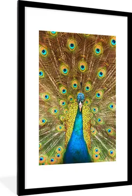 Produktbild von MuchoWow® Gerahmtes Poster Pfau - Vogel - Blau 60x90 cm - Poster mit Schwarzem Bilderrahmen Wandposter Rahmen Foto Bilder - Dekoration - Wandposter Wohnzimmer - Hochwertig