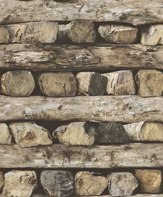 Produktbild von Rasch Vliestapete 931808 Selection holzoptik braun 10,05 x 0,53 m