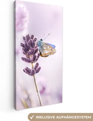 Produktbild von MuchoWow® - Leinwandbilder - Lavendel - Schmetterling - Nahaufnahme - Lila, Wandbild, Wanddeko Bilder Wohnzimmer, 20x40 cm