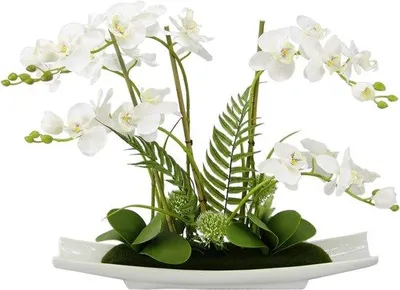 Productafbeelding van Famanu Kunstbloem Phalaenopsis met keramieken voet - Kunstplant