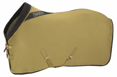 Immagine prodotto di Eskadron Heritage 25/26 Acrilico Abschwitzdecke