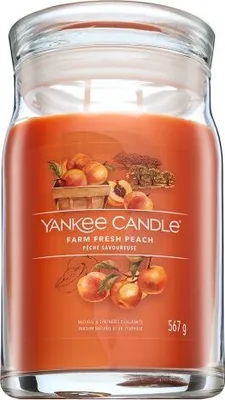 Produktbild von Yankee Candle Signature, Zylinder, Orange, Aprikose, Pfirsich, Vanille, 90 h, 1 Stück(e)