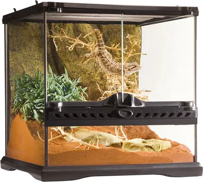 Image de Terrarium Exo Terra 30 x 30 x 30 cm