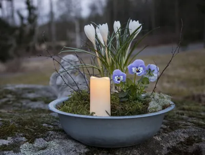 Produktbild von LED GRABLICHT SERENE / 10 cm / Timer / Sensor / Batterie