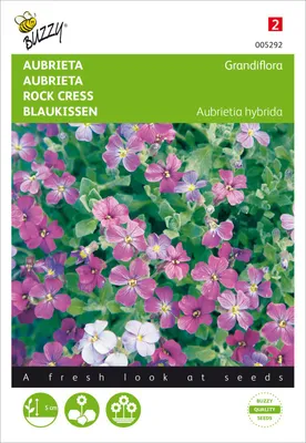 Produktbild von Blaukissen Grandiflora Mischung | Blaukissensamen von Buzzy Seeds