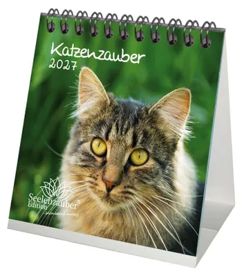 Produktbild von Katzenzauber Tischkalender 10x10cm für 2027 Katzen und Katzenbabys - Seelenzauber