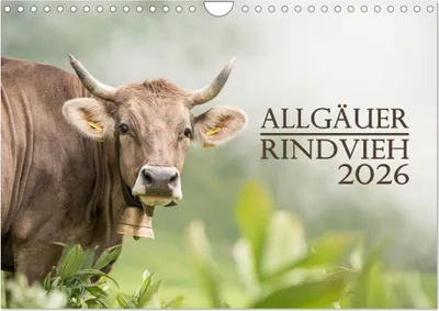 Produktbild von Allgäuer Rindvieh 2026 (Wandkalender 2026 DIN A4 quer), CALVENDO Monatskalender