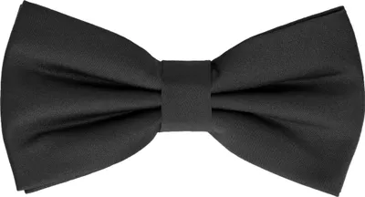 Produktbild von Ladeheid Elegante Herren Fliege - Hochwertig Matt Verstellbar BMM (12cm x 6cm)
