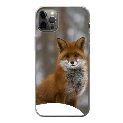 Produktbild von MuchoWow® Handyhülle Schutzhülle Hülle für iPhone 12 Pro Max Fuchs - Wald - Rot Silikon Softcase Handy Hülle - Hartschale
