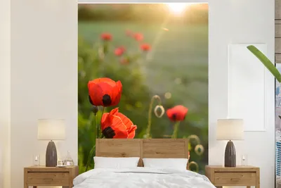 Produktbild von MuchoWow® Fototapete für Wohnzimmer oder Schlafzimmer Wandtapete Vinyl Motivtapete Mohnblumen bei Sonnenuntergang - 195x300 cm - Das Hintergrundbild