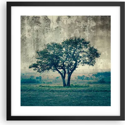 Produktbild von Gerahmtes Poster - Schwarzer Rahmen - Baum Natur Feld - 40x40 cm - Wand Bild - Wanddeko - Wandbilder - Kunstposter - Wandposter - Bilderrahmen - Bilder - Kunstdruck - Wandbild - P2BAC40x40-3627
