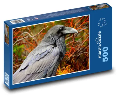Obrázek produktu pro martinpuzzle - Puzzle 500 - Havran - pták