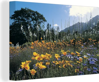 Produktbild von OneMillionCanvasses® - Leinwandbilder - 150x100 cm, Blumen - Natur - Farbe, Wandbilder Kunstdruck Wanddekoration