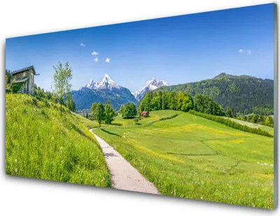 Produktbild von Acrylglasbilder 100x50 Wandbild Druck Wiese Fußpfad Natur
