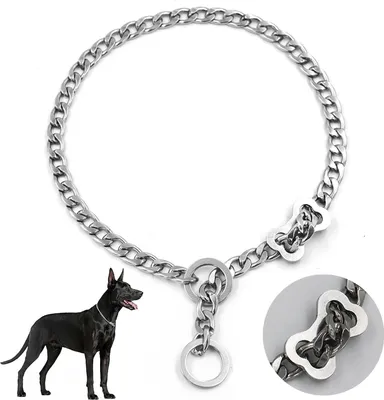 Produktbild von Verstellbare Hundehalsband XL, 64 cm, Edelstahl, Langlebig, Für große Hunde