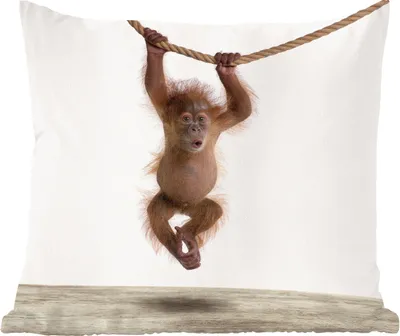 Produktbild von MuchoWow® Zierkissen Sofakissen Wohnzimmer Dekokissen 60x60 cm Tiere - Orang-Utan - Orange - Sitzfläche - Foto Polster