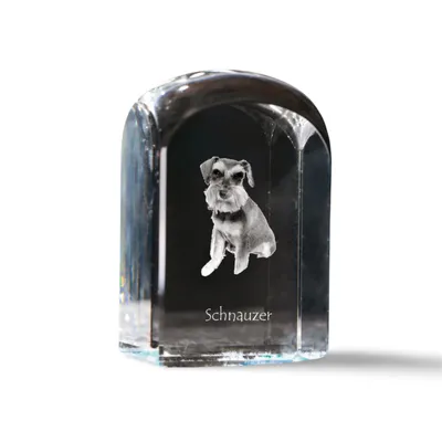 Imagen del producto de Schnauzer sello de cristal con un perro Art-Dog