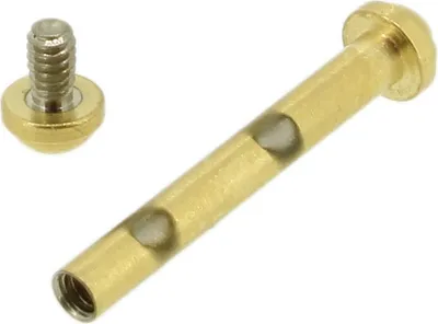 Produktbild von Festina Uhrenschraube gelbgoldfarben Schraube Edelstahl F20317 F20316