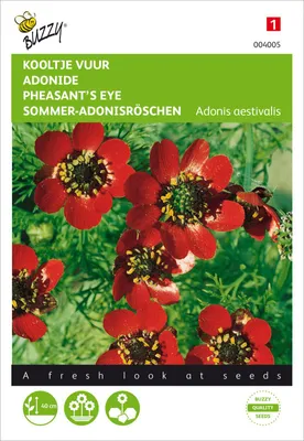 Produktbild von Sommer Adonisröschen Rot Blühende | Stockrosensamen von Buzzy Seeds