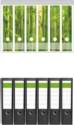 Produktbild von Wallario 6 Stück breite Ordner inkl. Klebeetiketten mit Motive Grüner Bambuswald -  Set mit Rückenschildern / Ordnerrücken Stickern