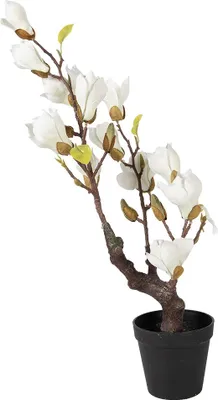 Obrázok produktu pre Clayre & Eef Umelá rastlina Magnólia 16x14x60 cm Biela Plast