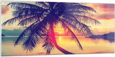 Produktbild von Bilder auf glas - Meer Strand Palme - 120x50cm - Glasbilder - Wandbilder - Kunstdruck - zum Aufhängen bereit - Wanddekoration aus Glas - Glas Bilder - Wandbild auf Glas - Einteilig - GAB120x50-3925