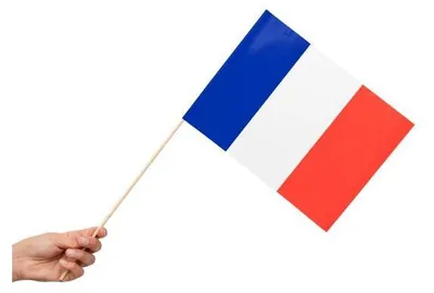Produktbild von 10 Papier Fahnen Frankreich 20 x 30 cm