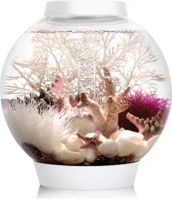 Produktbild von OASE 72001 biOrb CLASSIC 15 LED weiß