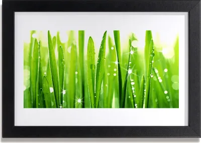 Produktbild von Bild 30x20 MDF-Rahmen Wandkunst Gras Natur Pflanze