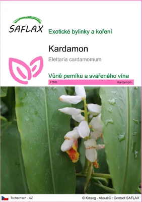 Obrázek produktu pro SAFLAX - kardamon - Elettaria cardamomum - 20 Semena