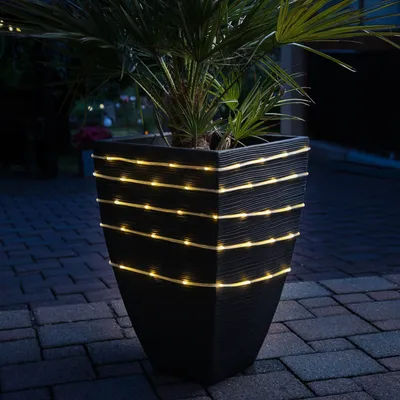 A black planter with a palm plant is decorated with warm white LED string lights at night.