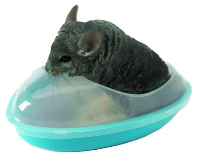 Produktbild von Chinchilla Badehaus, 35x23x15cm
