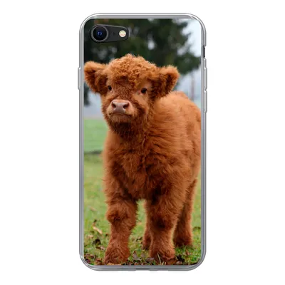 Produktbild von MuchoWow® Handyhülle Schutzhülle Hülle für iPhone SE 2020 Scottish Highlander - Kalb - Gras Silikon Softcase Handy Hülle - Kartenbesitzer