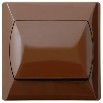 Image de Interrupteur Simple Marron Ospel Accent