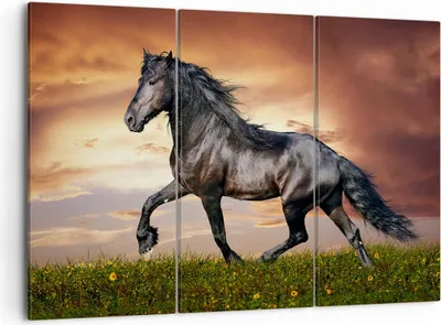 Produktbild von Bild auf Leinwand - Leinwandbild - Pferd Tier Wiese - 105x70cm - Wand Bild - Wanddeko - Wandbilder - Leinwanddruck - Bilder - Kunstdruck - Wanddekoration - Leinwand bilder - Wandkunst - CE105x70-2608