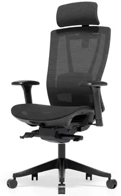 Productafbeelding van Ergonomische kantoork stoel BS14B-M1, met netrugleuning, zwart