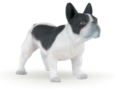 Produktbild von Papo Französische Bulldogge, Schwarzweiß, 3 Jahr(e), Dog and cat companions, Schwarz, Weiß, PVC