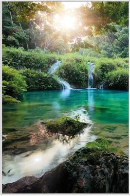 Produktbild von Wallario Wandbild Türkisgrüner See im Nationalpark in Guatemala, Größe: 61 x 91,50 cm, Poster mit weißem Aluminiumrahmen