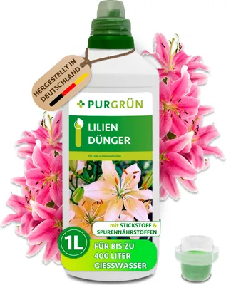 amazon aloe Collagen + Aloe with Hyaluronic Acid