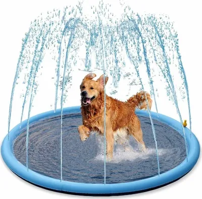 Image de Piscine Nobby Splash Ø 150 cm