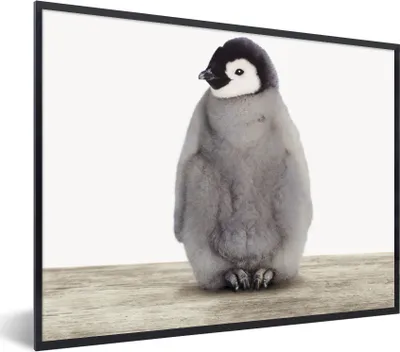 Produktbild von MuchoWow® Gerahmtes Poster Kinder - Pinguin - Grau - Tiere - Mädchen - Jungen 80x60 cm - Poster mit Schwarzem Bilderrahmen Wandposter Rahmen Foto Bilder - Schwarzem - Mit Gestell