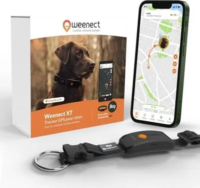 Image de Collier GPS pour Chien, WEENECT Chien XT, Antenne XL, Étanche, Collier Julius-K9, Suivi en Temps Réel, Noir