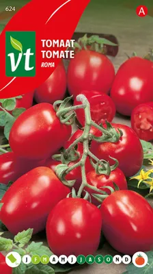 Obrázek produktu pro Tomate Roma Together - cca 0,5 g | VT_624