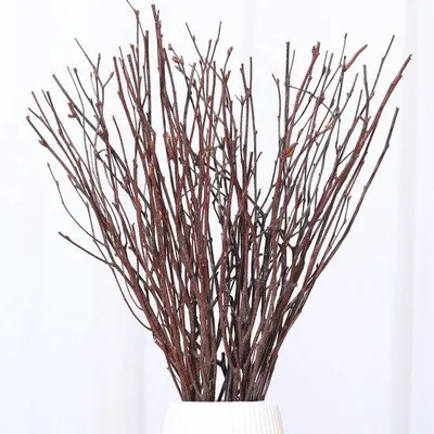 Produktbild von Getrocknete Birkenzweige 43cm - 40 Stück natürliche Dekoration für Vasen und DIY