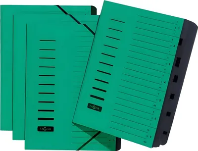 Immagine prodotto di Organizer PAGNA, DIN A4, cartone, 7 scomparti, verde