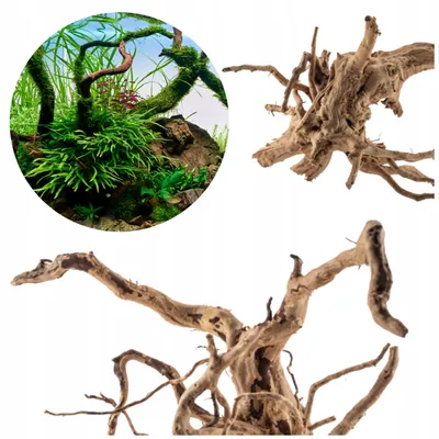 Zdjęcie produktu dla Dekoracja akwariowa – korzeń, Red Moor, 40–50 cm, drewno naturalne