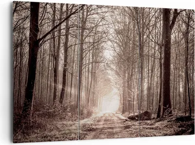 Produktbild von Bild auf Leinwand - Leinwandbild - Wald Straße Baum - 165x110cm - Wand Bild - Wanddeko - Leinwanddruck - Bilder - Kunstdruck - Wanddekoration - Leinwand bilder - Wandkunst - CE165x110-3620