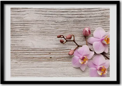 Produktbild von Bild - Bilderrahmen - 100 cm x 70 cm - MDF - Rahmen - Foto - Wandkunst Orchidee auf dem Holz